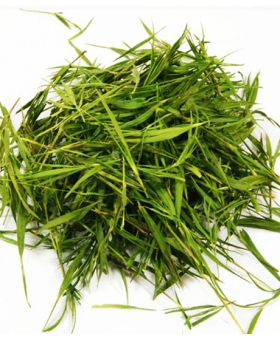 BAMBUS LIŚĆ BAMBOO LEAF